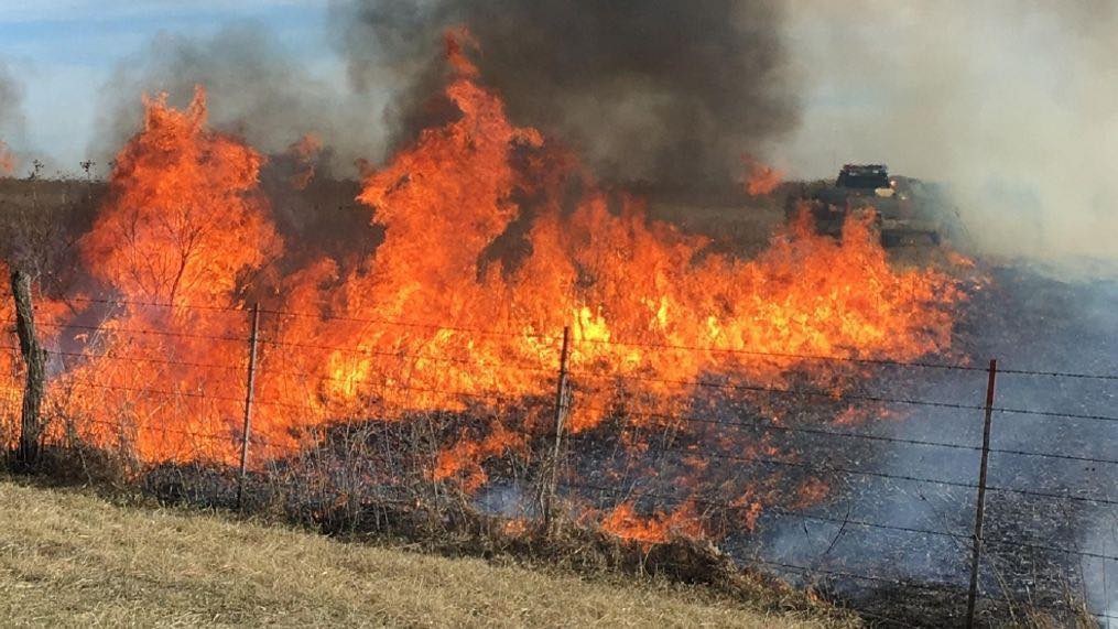 image of brush fire
